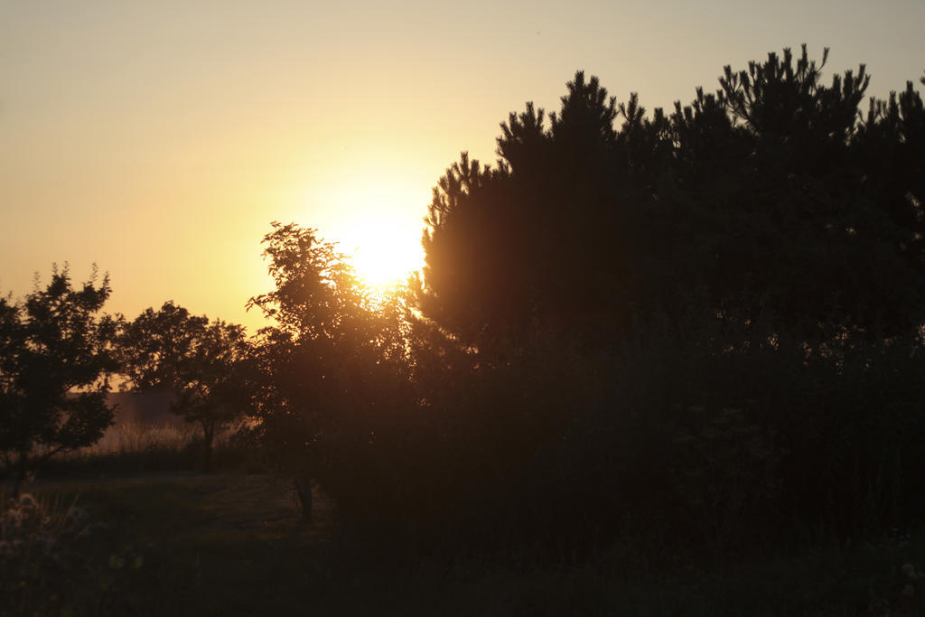 Quistgaarden Bed & Breakfast Spjellerup Εξωτερικό φωτογραφία